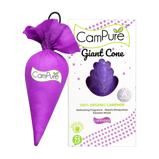 Campure Giant Cone - Lavender