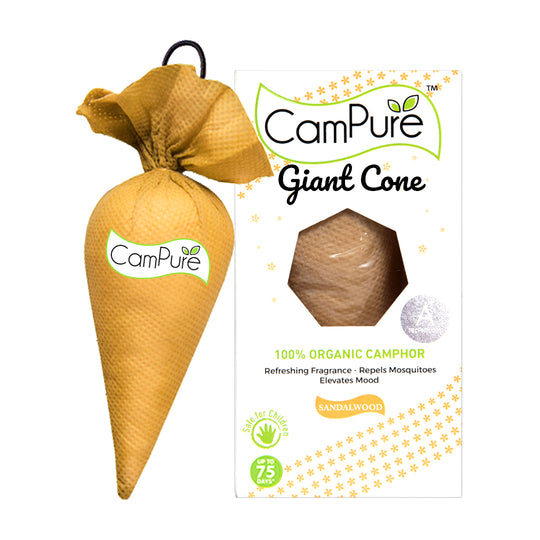 Campure Giant Cone - Sandalwood