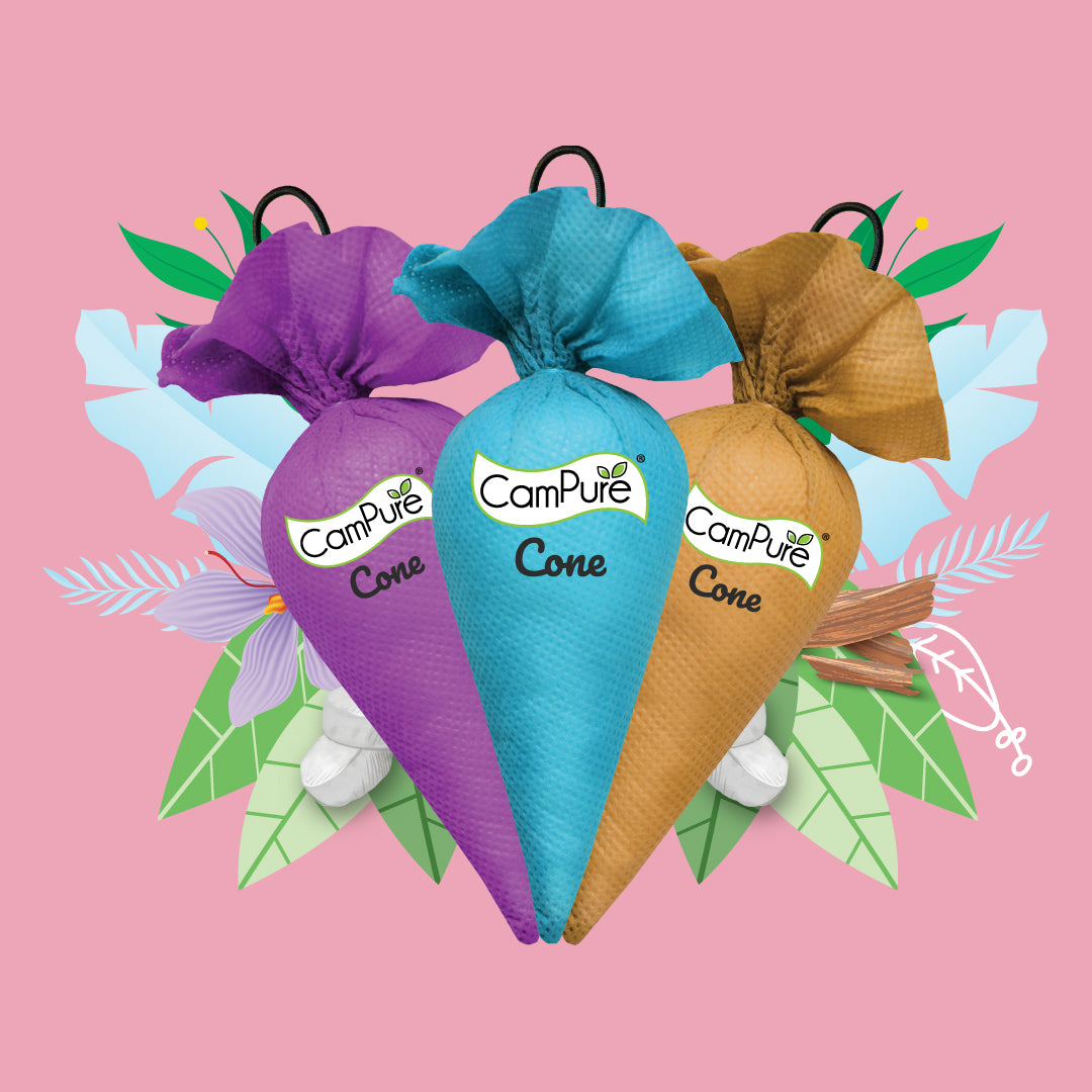 Giant Cone - Pack of 3