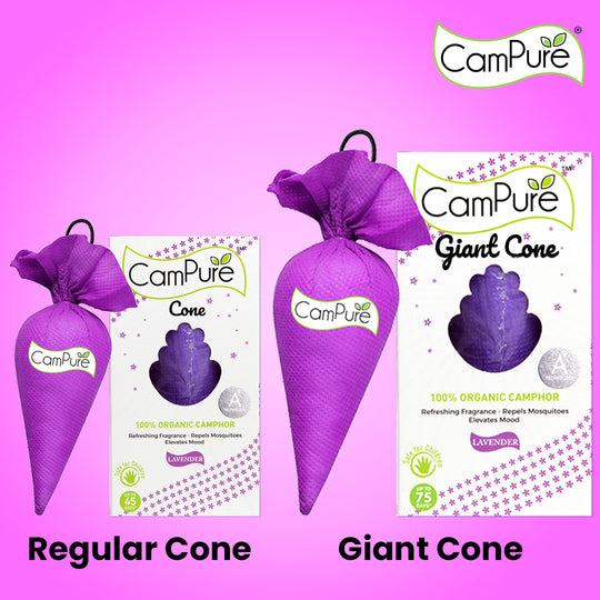 Campure Giant Cone - Lavender