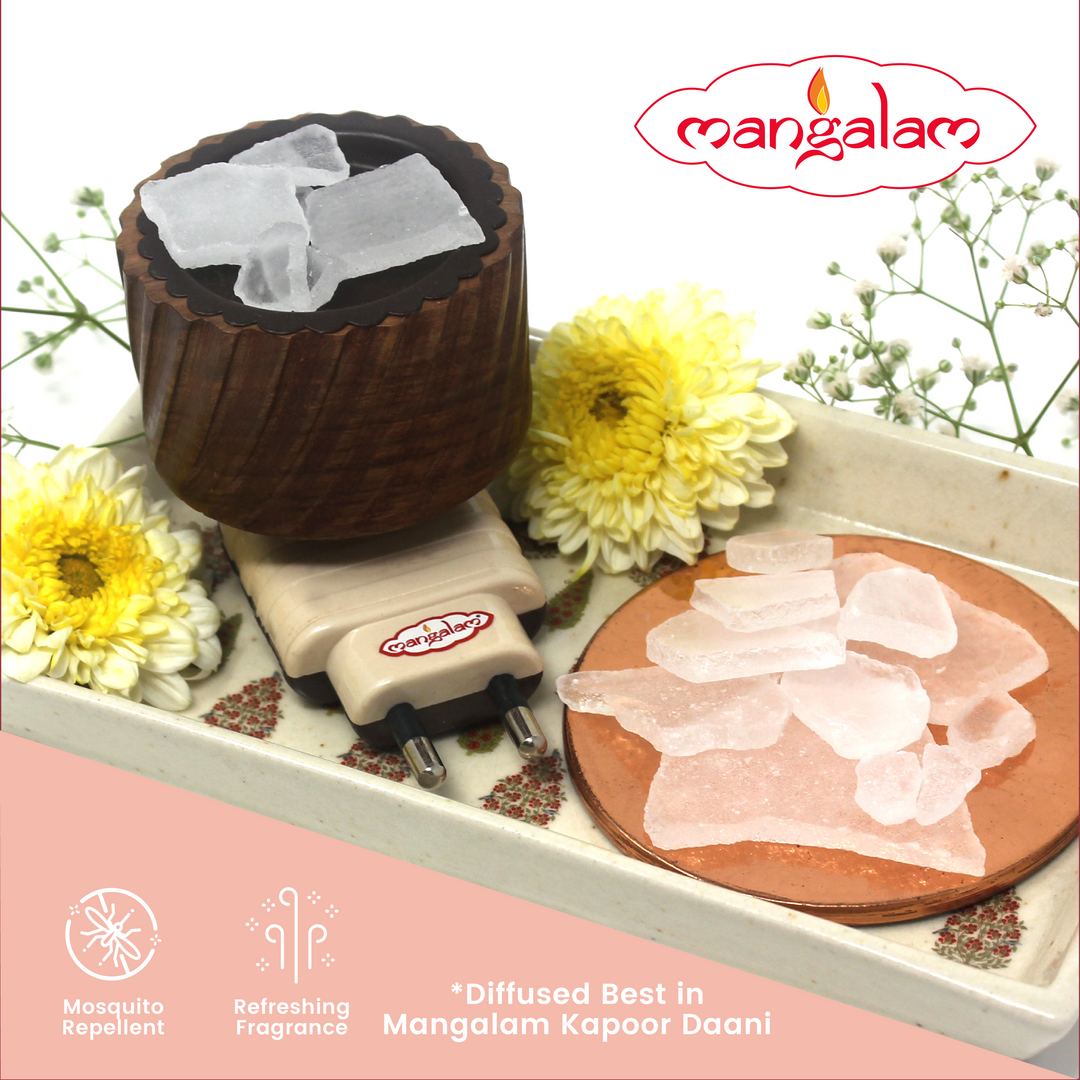 2-Cavity Mosquito Repellent Incense Silicone Cake Mold Circles-Shaped  Shallow Cylinder Cake Pan Discs Biscuit Mould