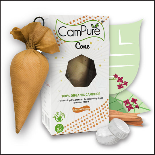 CamPure Cone