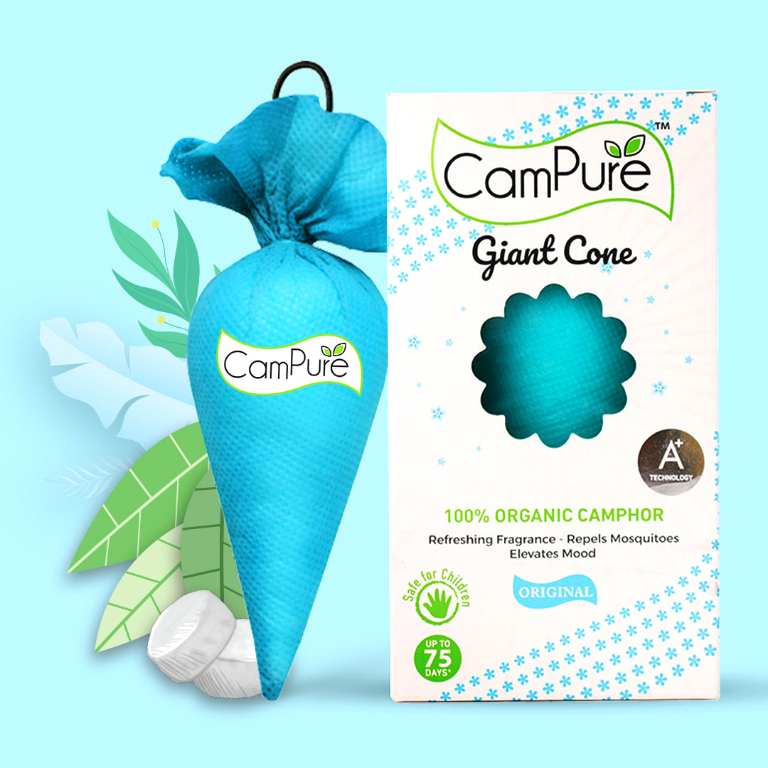 Campure Giant Cone - Original